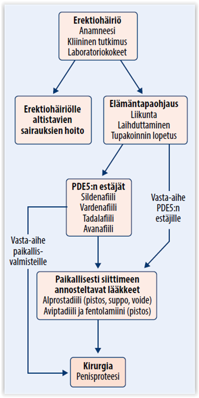 laake erektiohairioiden