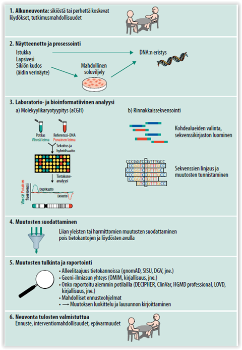 Geneettisen analytiikan mahdollisuudet sikiödiagnostiikassa