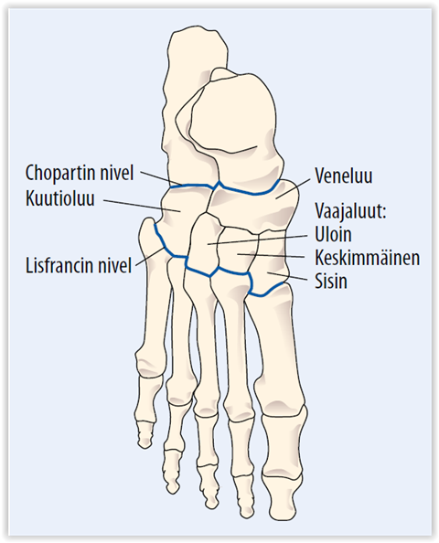 Jalkater n Keskiosan Alidiagnosoidut Vammat
