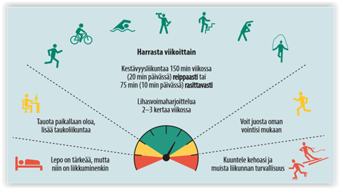 liikunnan-vaikutukset-sy-v-n-ehk-isyss-hoidossa-ja-kuntoutuksessa