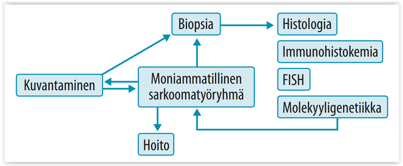 Uudet Erilaistumattomat Pieni Ja Py re soluiset Sarkoomat WHO 