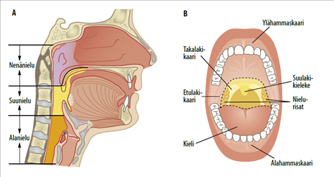 hpv kurkussa oireet